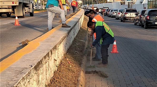 Ayuntamiento intensifica trabajos de embellecimiento en el municipio