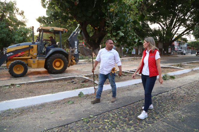 Ayuntamiento de Colima libera avenida Venustiano Carranza tras árbol caído