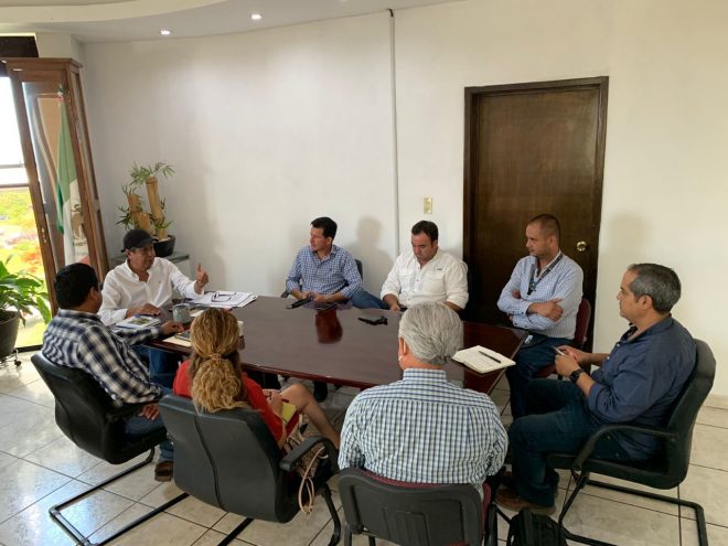 Gobierno de Colima trabaja para controlar el gusano barrenador del aguacate