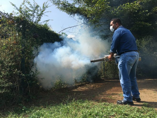 Colima se mantiene sin decesos por dengue y con casos a la baja: Salud