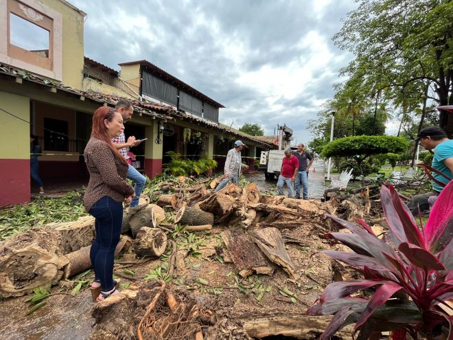 Dejan lluvias de la madrugada siete árboles caídos en la Villa