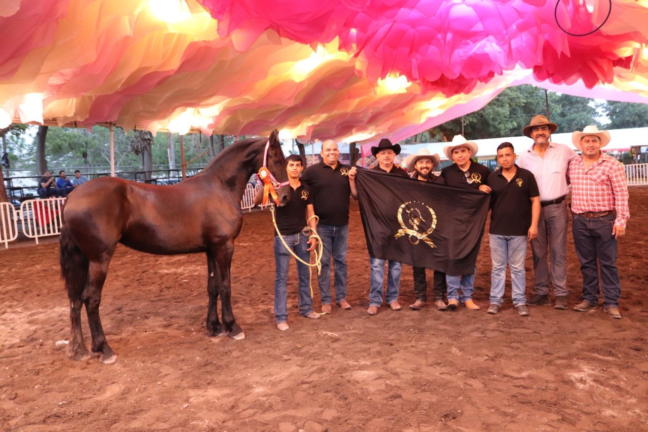 Gran asistencia al 4° Concurso Morfológico de Caballos Frisones en la Feria de Colima