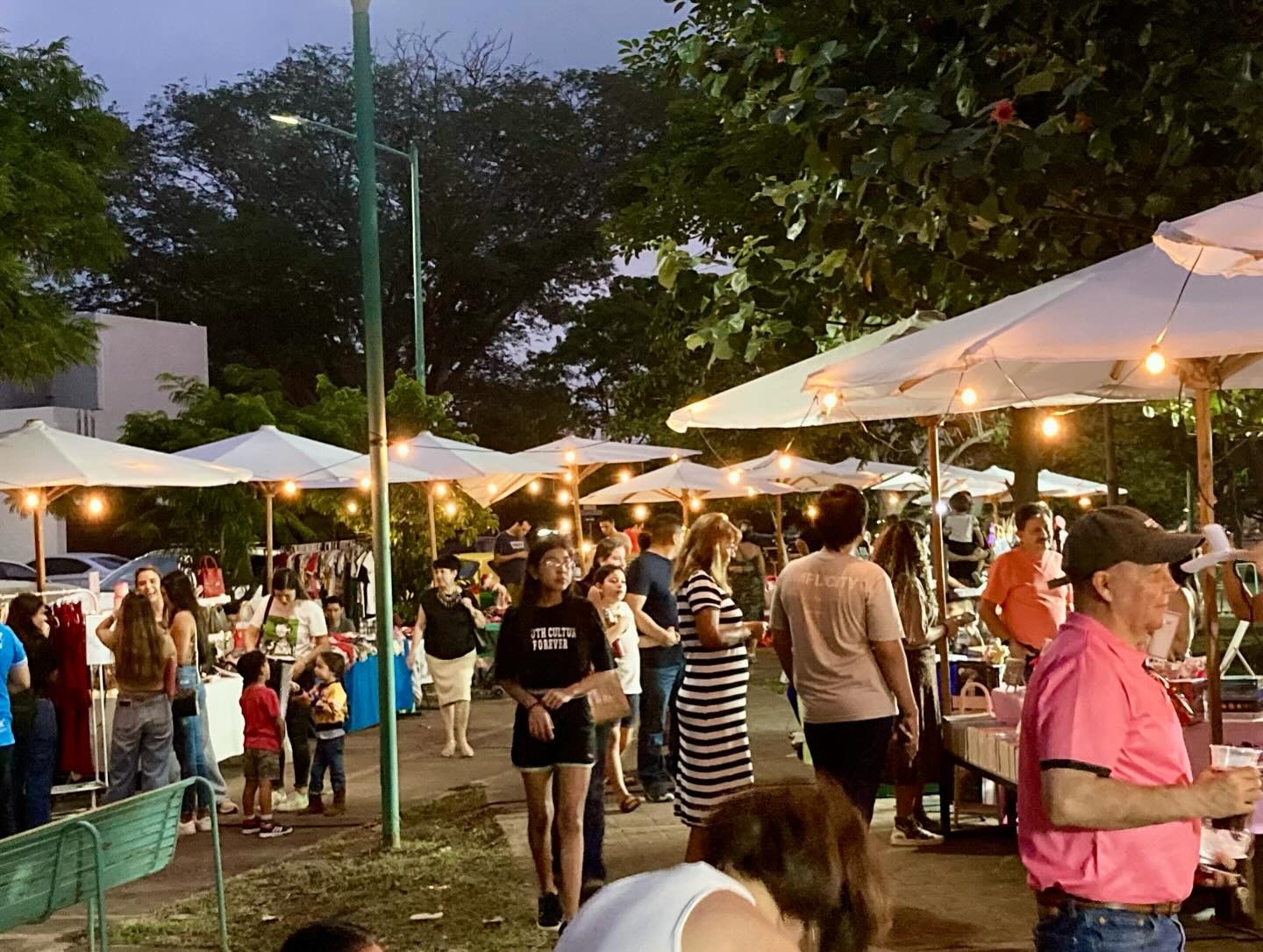 Vecinos de Valle Verde celebran con éxito su Primer Market Comunitario