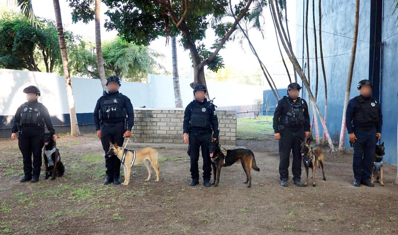 SSP Colima realiza jubilación de elementos caninos de la Unidad Estatal K9
