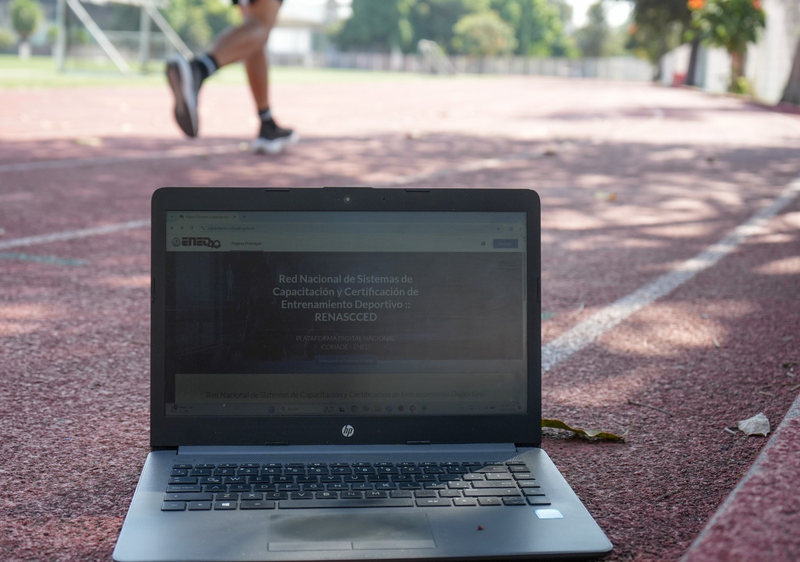 Incode: Habrá cursos obligatorios y gratuitos para participantes en Olimpiada Nacional 2026