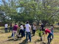 Más de medio millón de jóvenes se movilizaron en la Jornada por la Paz: IMJUVE
