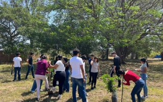 Más de medio millón de jóvenes se movilizaron en la Jornada por la Paz: IMJUVE
