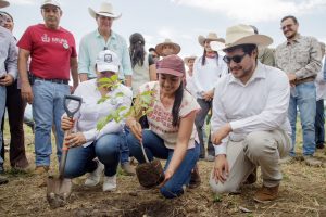 Desde Cuauhtémoc, Indira Vizcaíno encabezó la Jornada Nacional de Reforestación que puso en marcha la Presidenta Claudia Sheinbaum