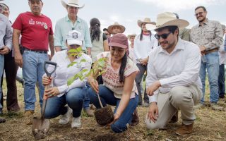 Desde Cuauhtémoc, Indira Vizcaíno encabezó la Jornada Nacional de Reforestación que puso en marcha la Presidenta Claudia Sheinbaum