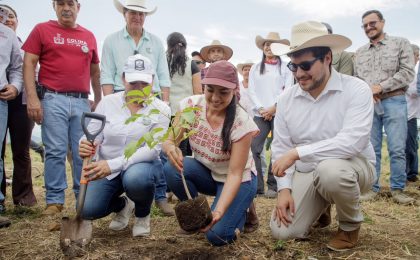 Desde Cuauhtémoc, Indira Vizcaíno encabezó la Jornada Nacional de Reforestación que puso en marcha la Presidenta Claudia Sheinbaum