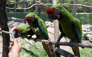 Estudiantes del curso Explora 2.0 conocen acciones para proteger la biodiversidad