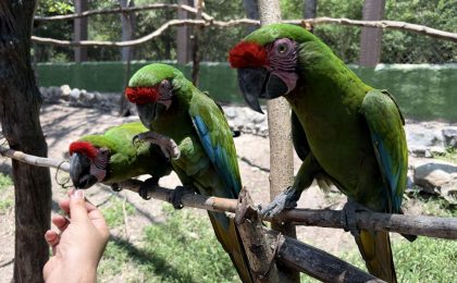 Estudiantes del curso Explora 2.0 conocen acciones para proteger la biodiversidad