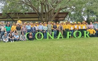 Brigadistas colimenses combatirán incendios forestales en Canadá, informa Subseder