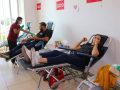 Gobierno de Indira Vizcaíno invita a participar este jueves en la Jornada de Donación de Sangre en el DIF Estatal